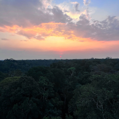 Diário de Cuiabá